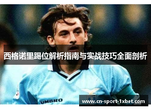 西格诺里踢位解析指南与实战技巧全面剖析