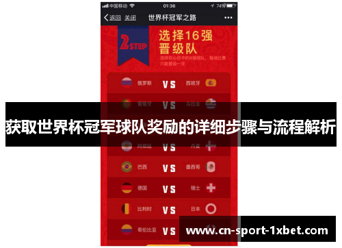 获取世界杯冠军球队奖励的详细步骤与流程解析