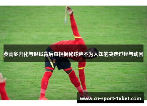 费南多归化与退役背后真相揭秘球迷不为人知的决定过程与动因 费南多归化与退役背后真相揭秘球迷不为人知的决定过程与动因