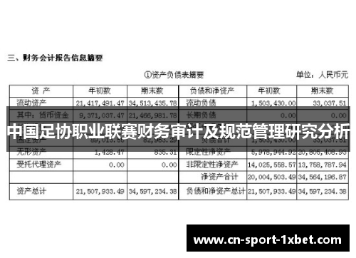 中国足协职业联赛财务审计及规范管理研究分析 中国足协职业联赛财务审计及规范管理研究分析