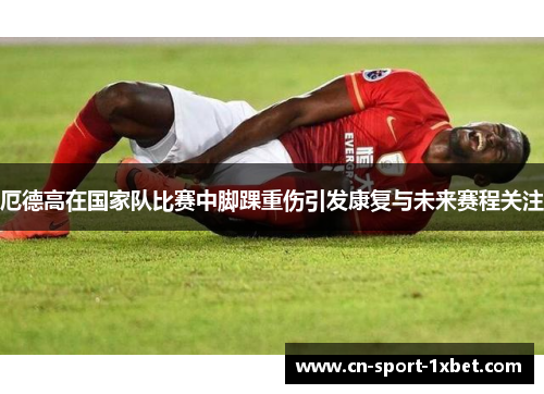 厄德高在国家队比赛中脚踝重伤引发康复与未来赛程关注