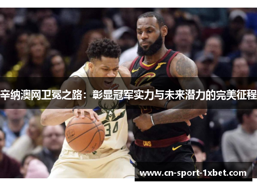 辛纳澳网卫冕之路：彰显冠军实力与未来潜力的完美征程