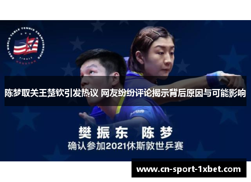 陈梦取关王楚钦引发热议 网友纷纷评论揭示背后原因与可能影响