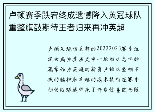 卢顿赛季跌宕终成遗憾降入英冠球队重整旗鼓期待王者归来再冲英超